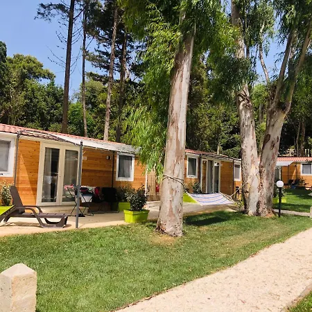 Baia Dei Micenei Campsite