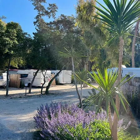 Baia Dei Micenei Campsite