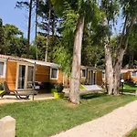 Baia Dei Micenei Κάμπινγκ