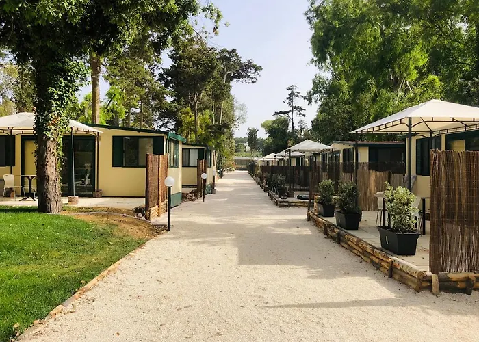 Baia Dei Micenei Camping *