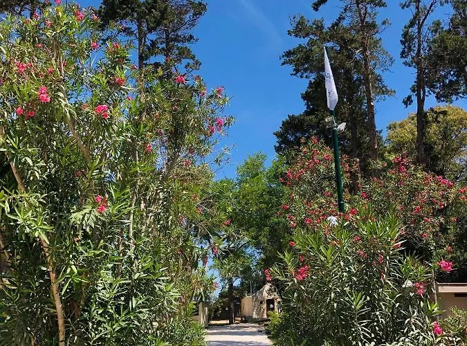 Baia Dei Micenei Camping *